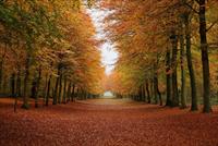 Nước Nga trong tôi